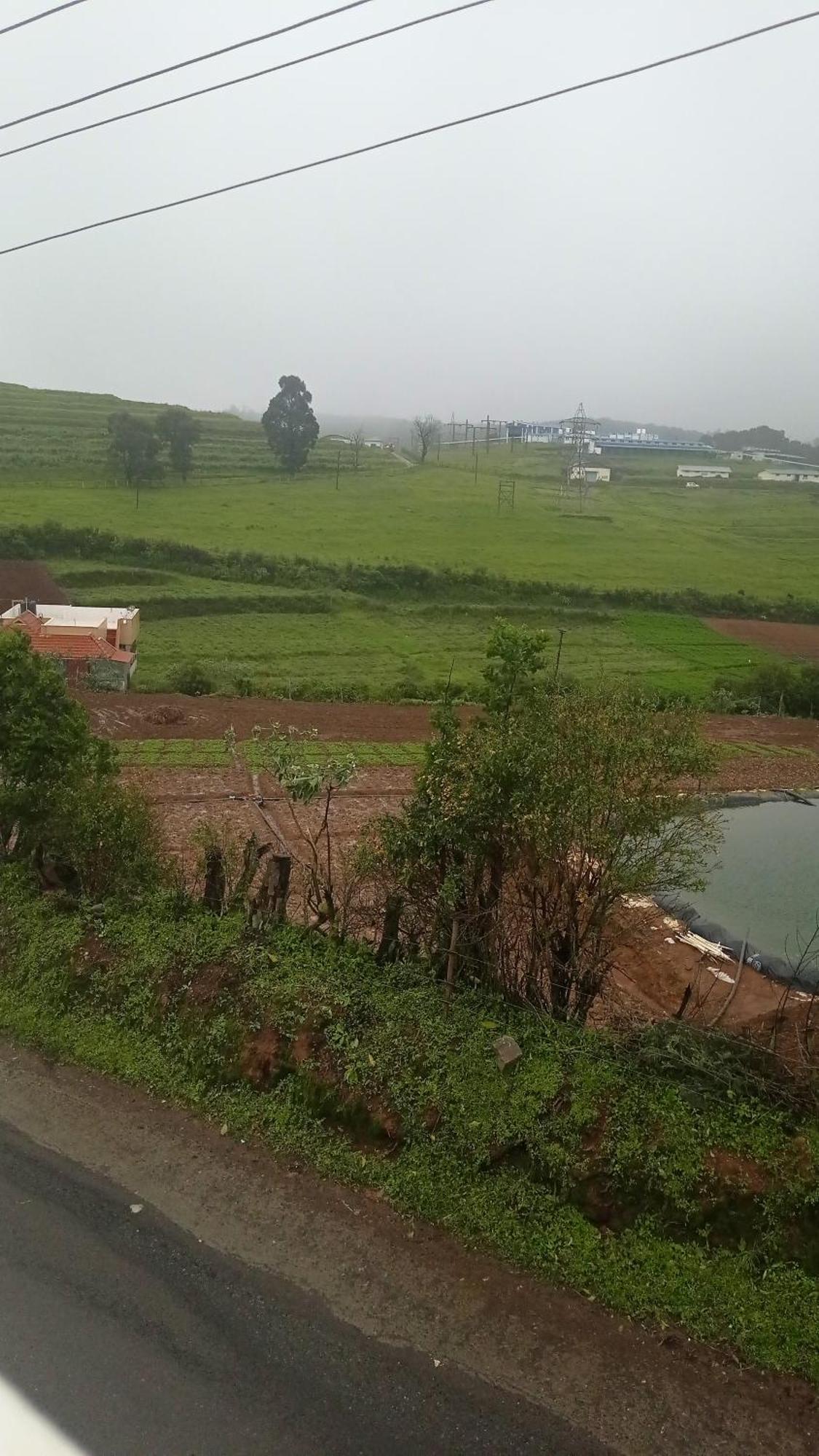 أوتي Haze Cottage- Ma Cottage المظهر الخارجي الصورة